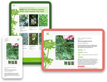 Green Patch website